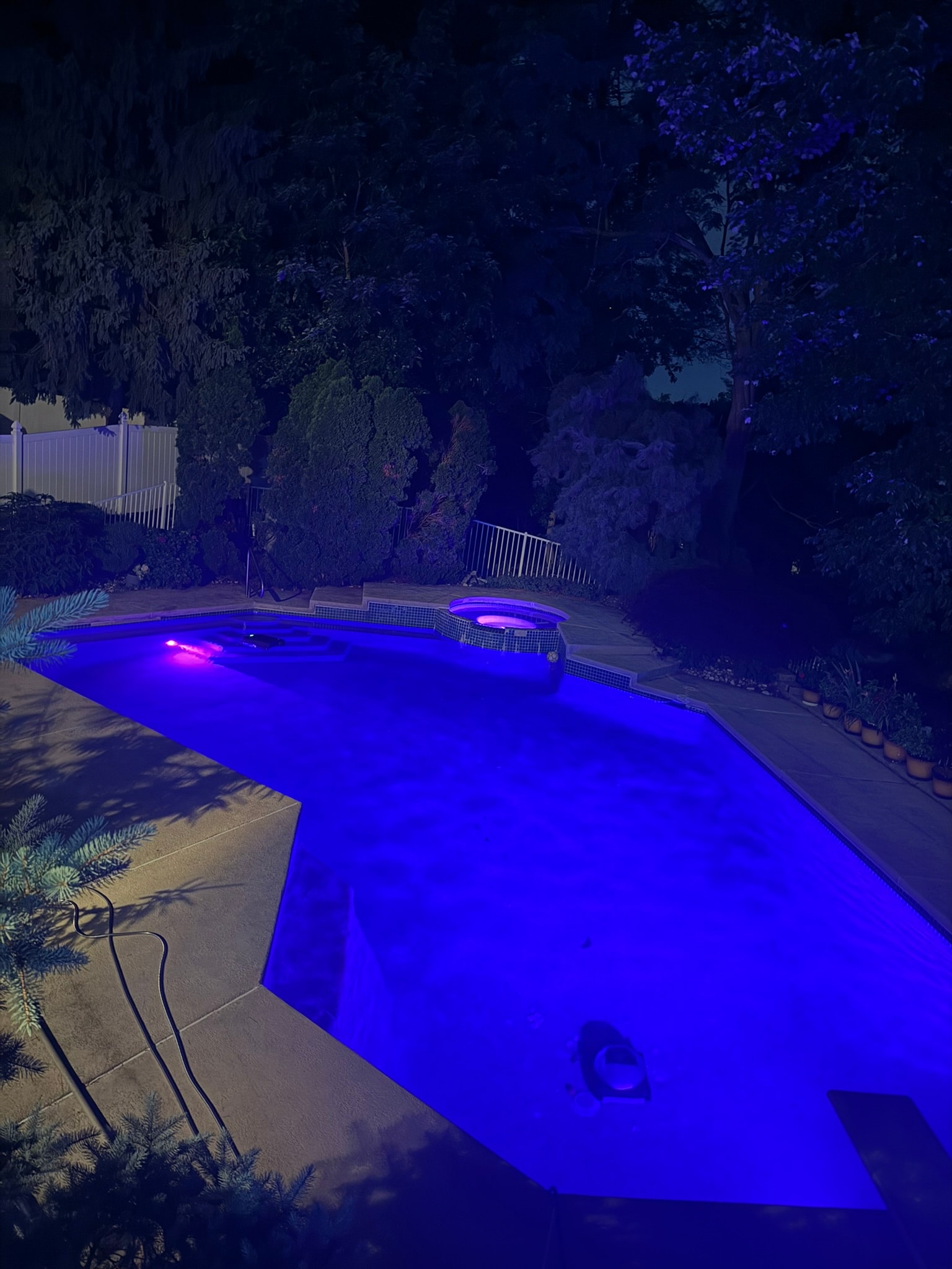 Spa Electrics MULTI PLUS — blue & pink pool lighting with spa